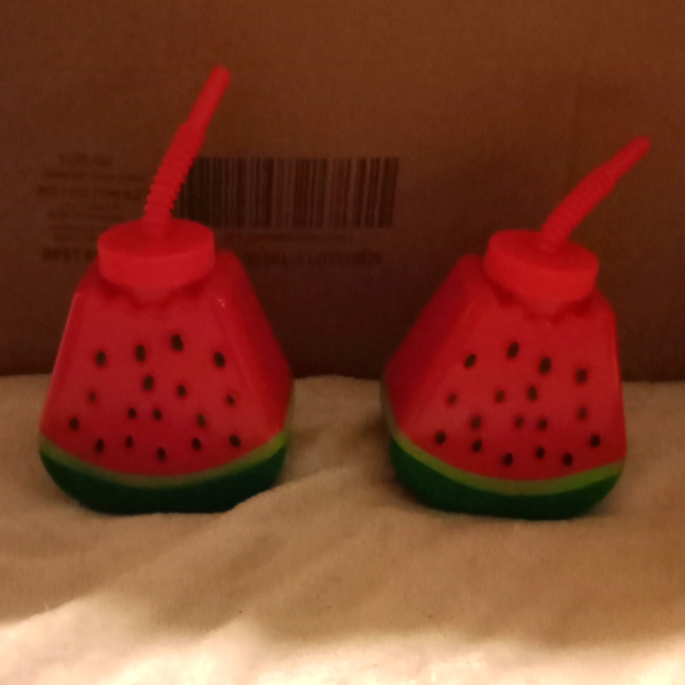 2 watermelon drinking bottle with straws